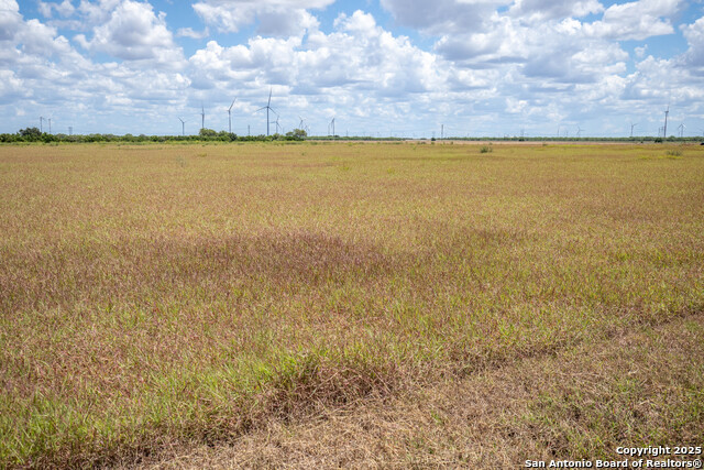 Listing photo id 35 for 000 County Road 647