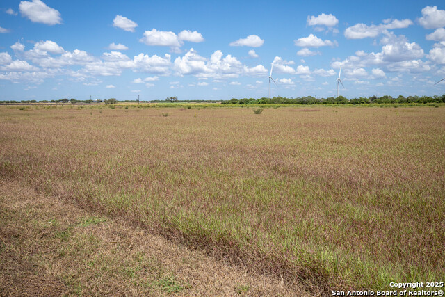 Listing photo id 36 for 000 County Road 647