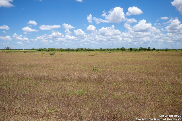 Listing photo id 37 for 000 County Road 647