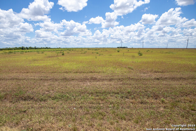 Listing photo id 38 for 000 County Road 647