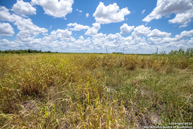 Listing photo id 43 for 000 County Road 647