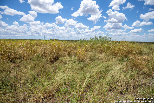 Listing photo id 44 for 000 County Road 647