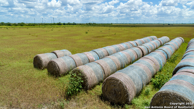 Listing photo id 3 for 000 County Road 647