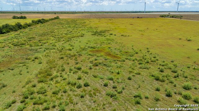 Listing photo id 6 for 000 County Road 647