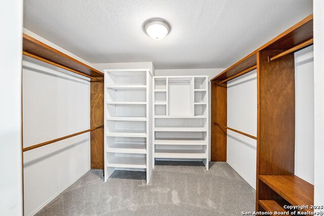 Image 27 of 44 For 12615 Scarlet Sage