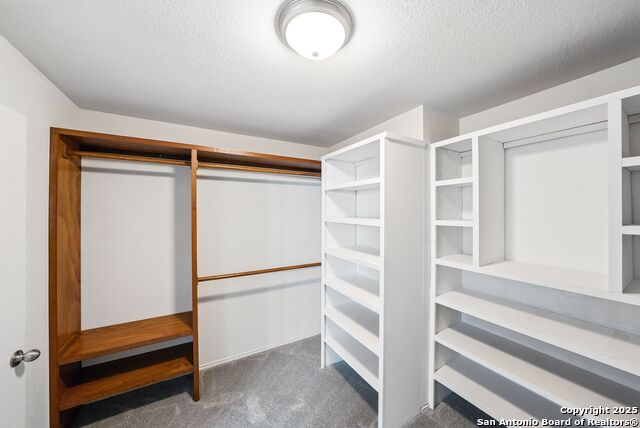 Image 28 of 44 For 12615 Scarlet Sage