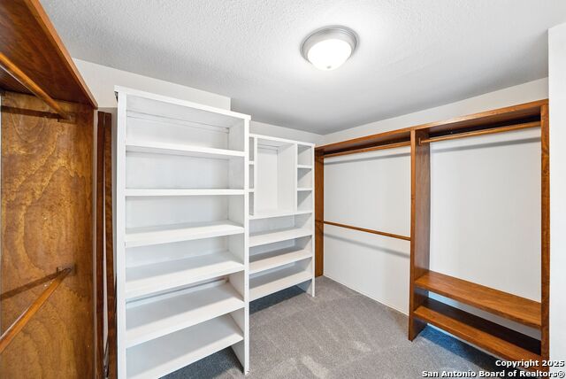 Image 29 of 44 For 12615 Scarlet Sage