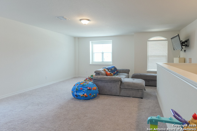 Image 17 of 31 For 5230 Wolf Bane