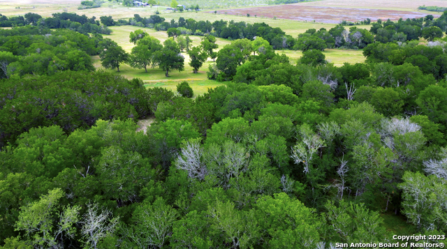 Listing photo id 8 for 2550 York Creek Rd