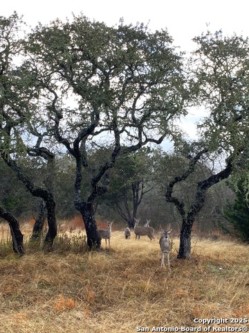 Image 27 of 31 For 2425 Oak Valley