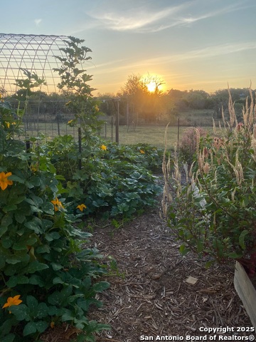 Image 30 of 31 For 2425 Oak Valley