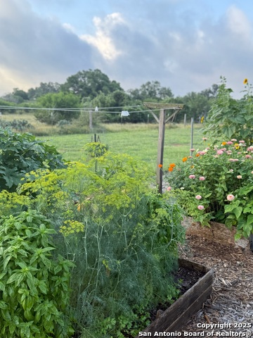 Image 31 of 31 For 2425 Oak Valley