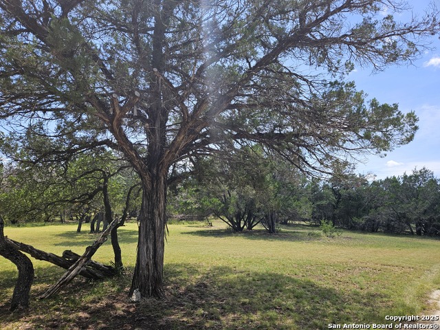 Listing photo id 34 for 29 Green Cedar Rd.