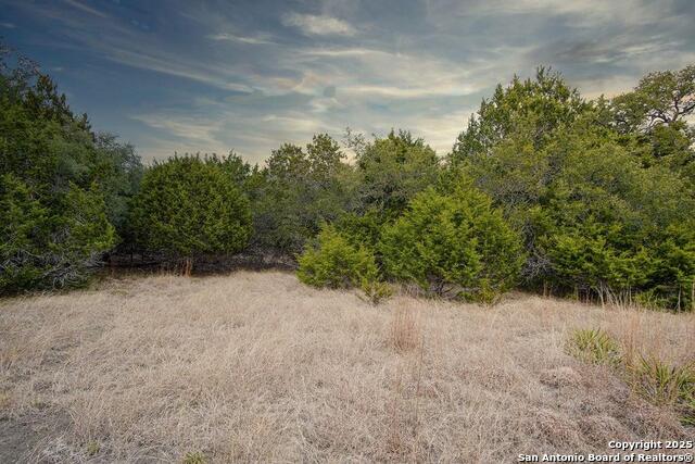 Details for 1055 Cielo Springs Dr., Blanco, TX 78606