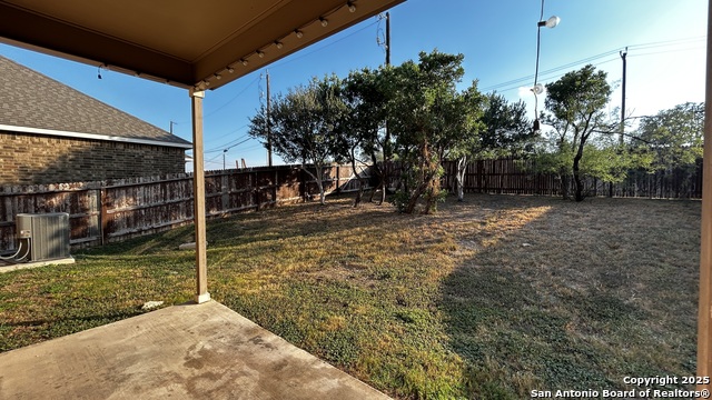 Image 18 of 21 For 1619 Crown Daisy