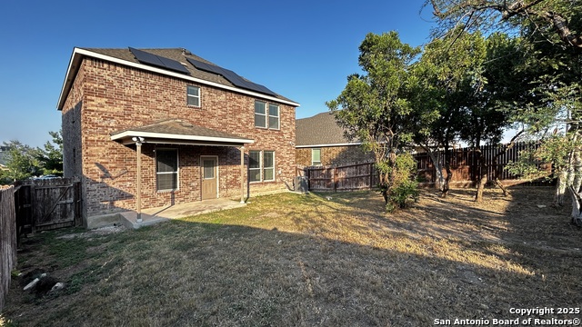 Image 19 of 21 For 1619 Crown Daisy