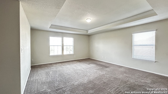 Image 9 of 21 For 1619 Crown Daisy