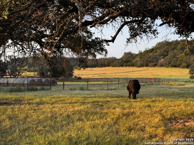 Details for 11889 Home Place, Mason, TX 76856