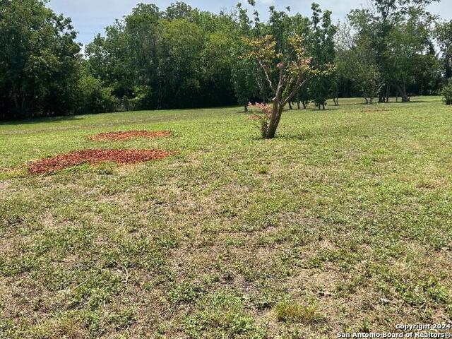Image 8 of 13 For 1358 Pyron  