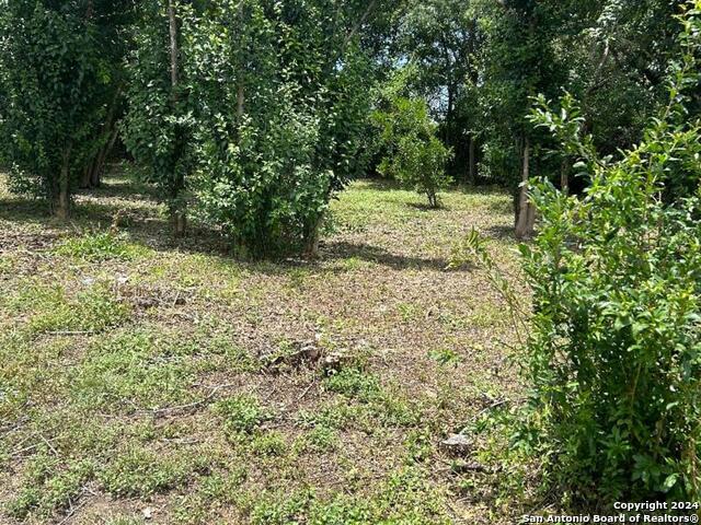 Image 9 of 13 For 1358 Pyron  