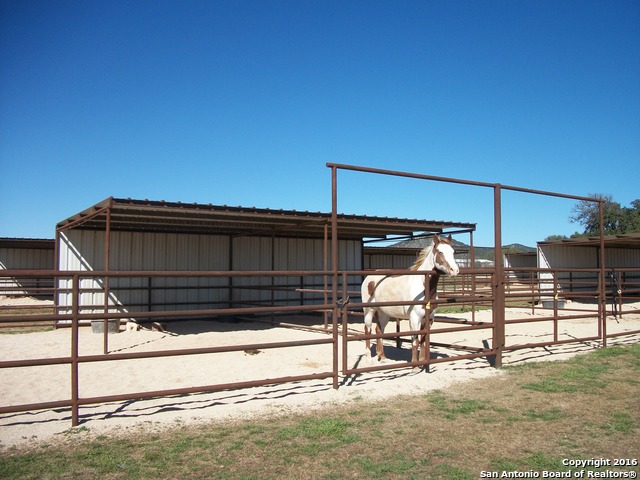 Image 15 of 27 For 11217 Fm 470