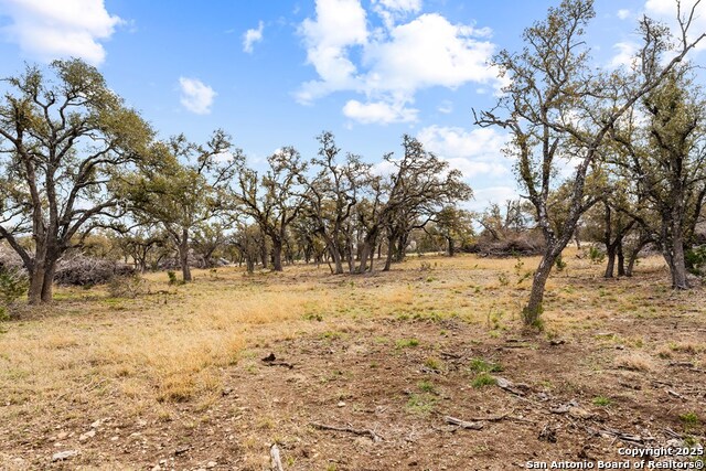 Listing photo id 2 for Lot 42 Brooklyn