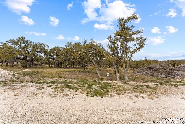 Listing photo id 6 for Lot 42 Brooklyn