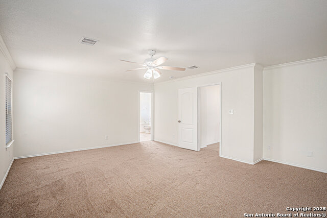 Image 15 of 27 For 5003 Green Post