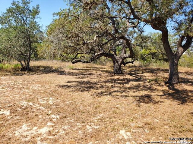 Image 3 of 14 For 1005 Spur Ridge