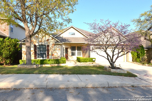 Image 4 of 49 For 2402 Cortona Mist