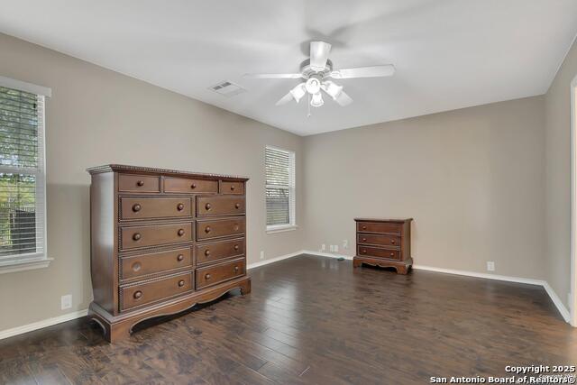 Image 10 of 23 For 3718 Alpine Aster