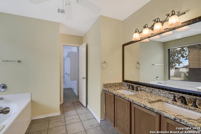 Image 12 of 23 For 3718 Alpine Aster