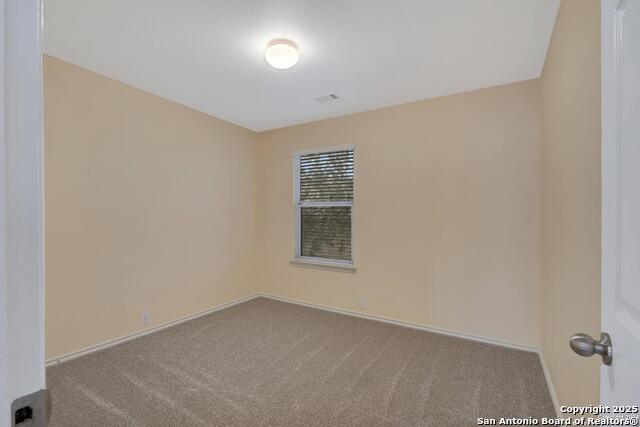 Image 16 of 23 For 3718 Alpine Aster