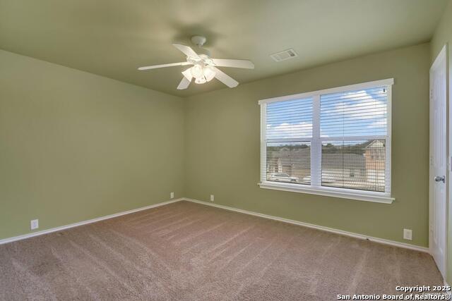 Image 18 of 23 For 3718 Alpine Aster