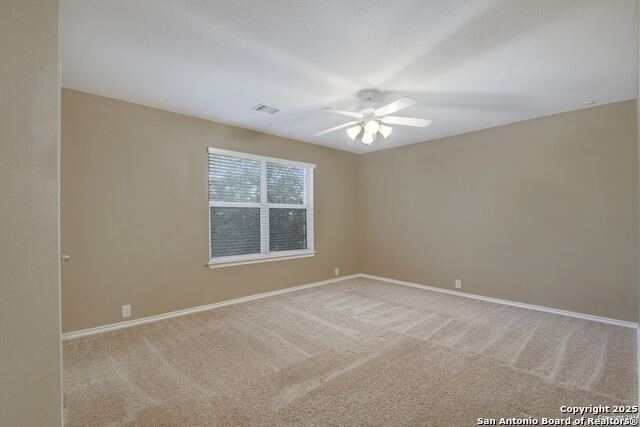 Image 19 of 23 For 3718 Alpine Aster