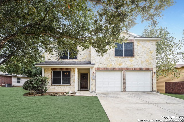 Image 2 of 23 For 3718 Alpine Aster