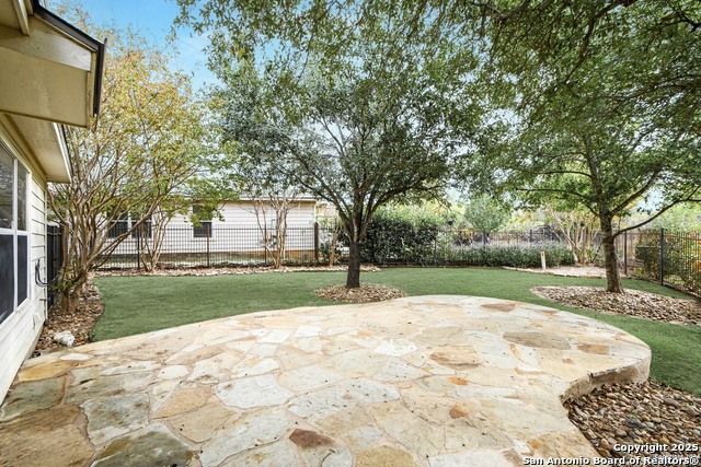 Image 21 of 23 For 3718 Alpine Aster