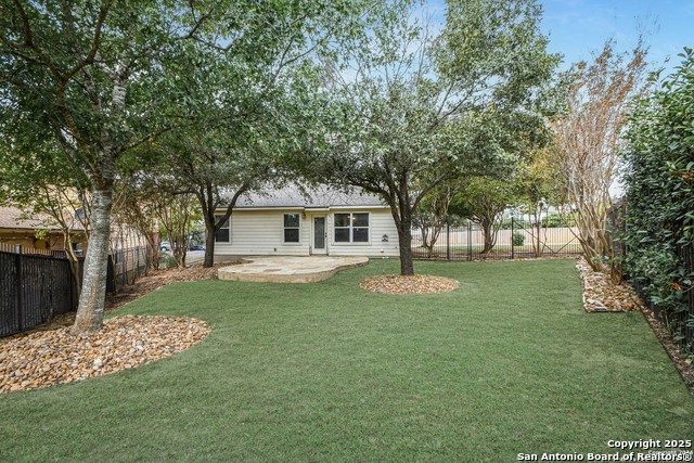 Image 22 of 23 For 3718 Alpine Aster
