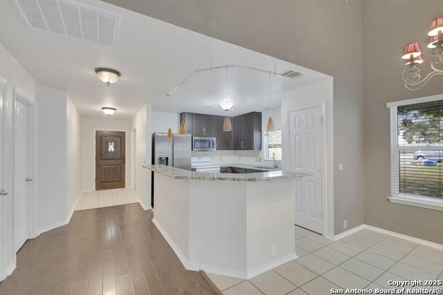 Image 3 of 23 For 3718 Alpine Aster