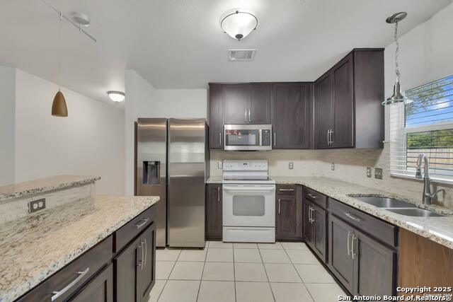 Image 7 of 23 For 3718 Alpine Aster