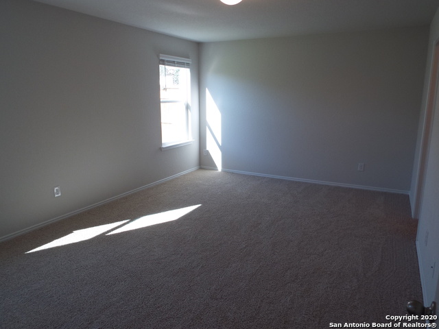 Image 13 of 23 For 29619 Winter Copper