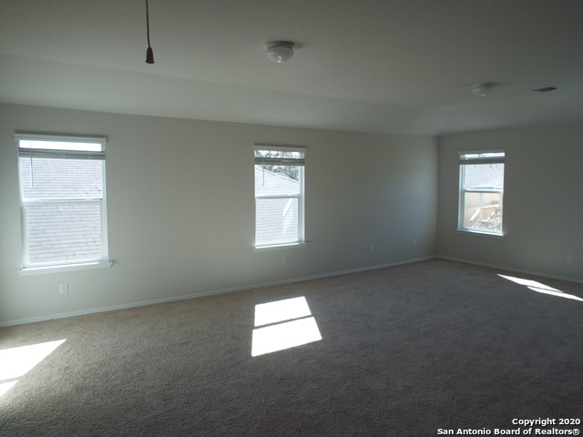 Image 16 of 23 For 29619 Winter Copper