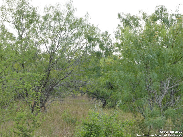 Listing photo id 2 for Tract 7 Tbd Cr 208