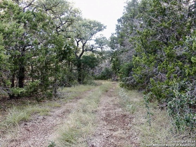 Image 10 of 13 For 625 County Road 2763
