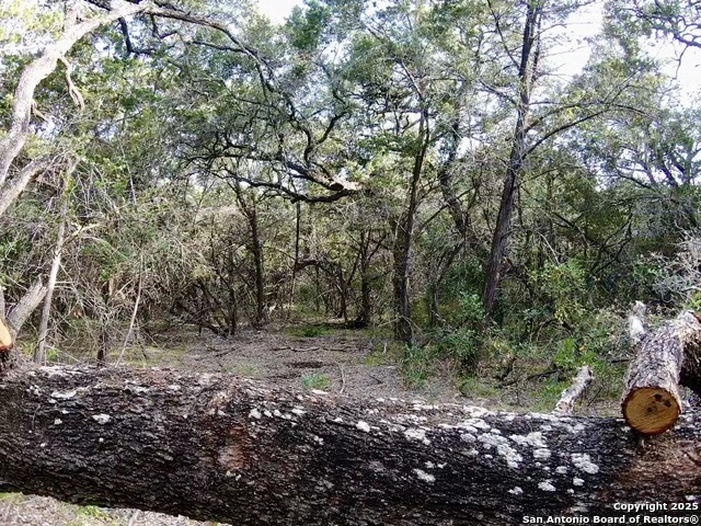 Image 12 of 13 For 625 County Road 2763