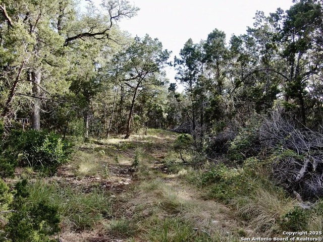 Image 6 of 13 For 625 County Road 2763