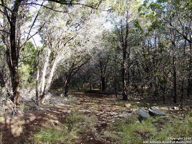 Image 7 of 13 For 625 County Road 2763