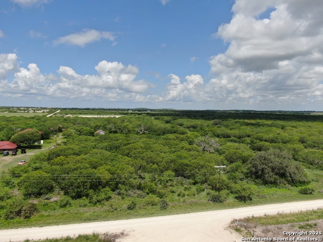 Details for Tract 8 Cr 208, Hobson, TX 78117
