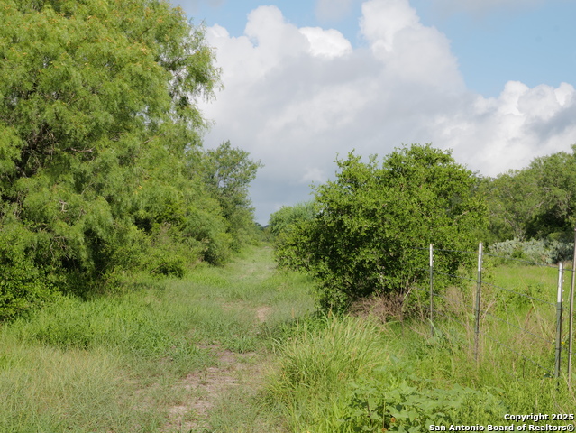 Image 4 of 8 For Tract 8 Cr 208