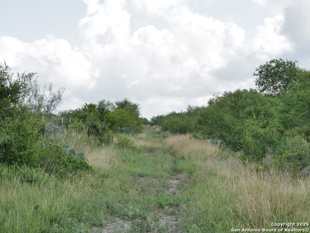 Image 7 of 8 For Tract 8 Cr 208